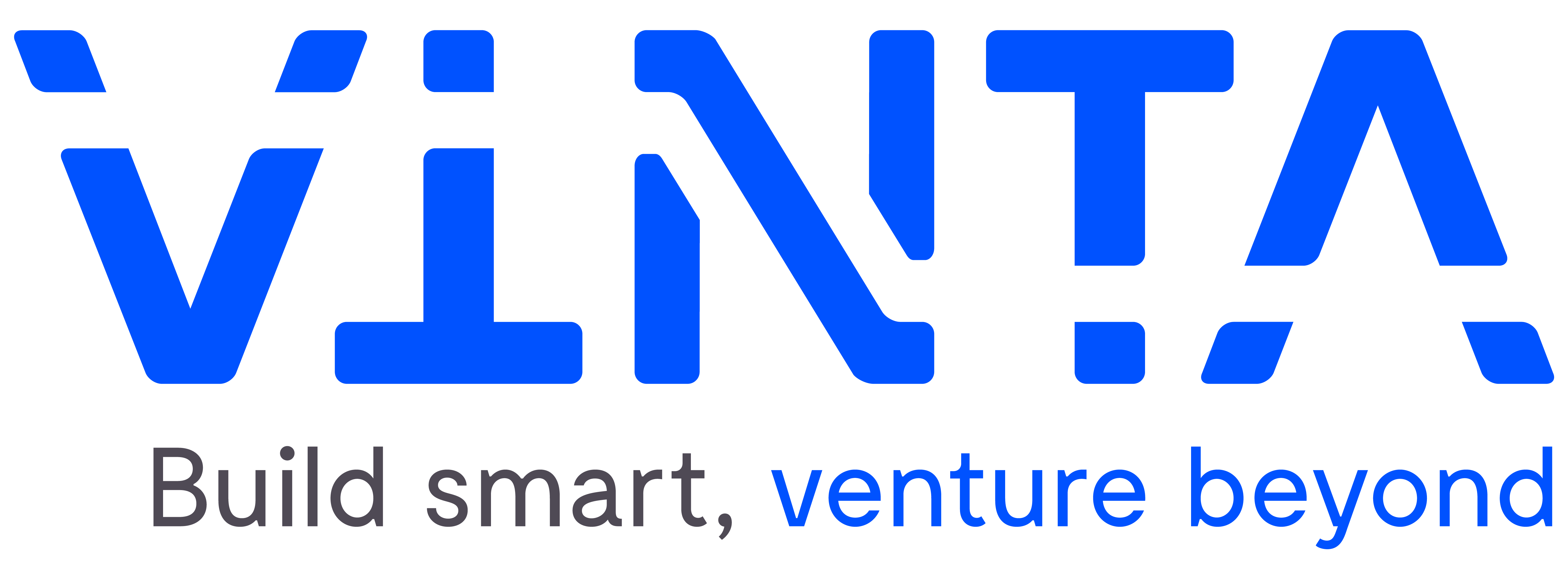 Vinta Software Logo